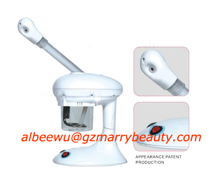 facial steamer